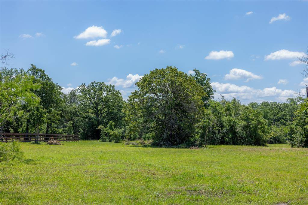 Bedias, TX 77831,6676 Atakapan Trail