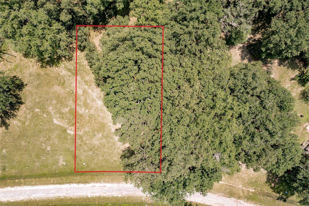 Trinity, TX 75862,Lot 4 Westover LN