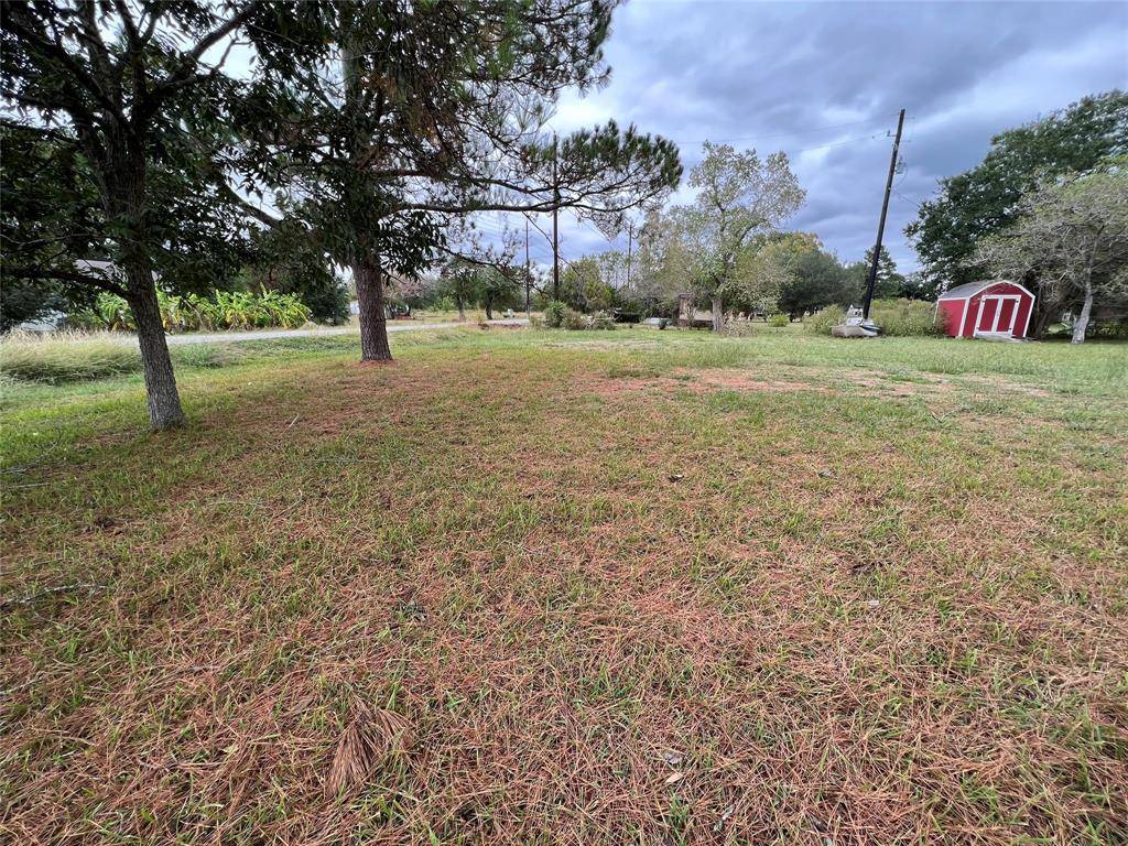 Needville, TX 77461,8903 Noble ST