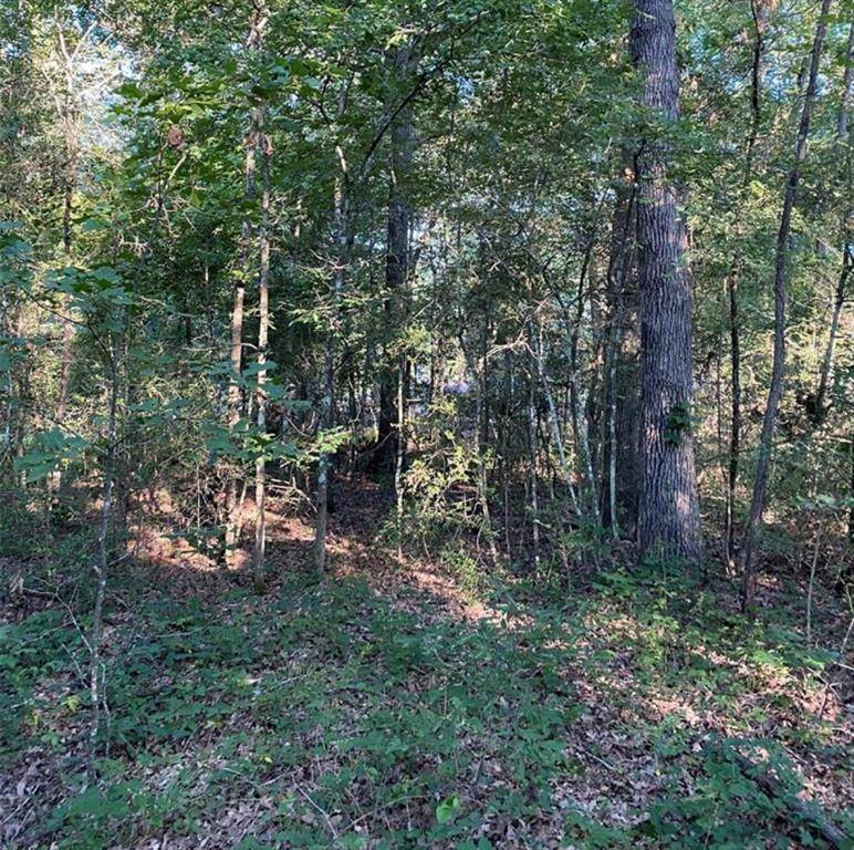 Livingston, TX 77351,TBD Windwood Lot 47 DR