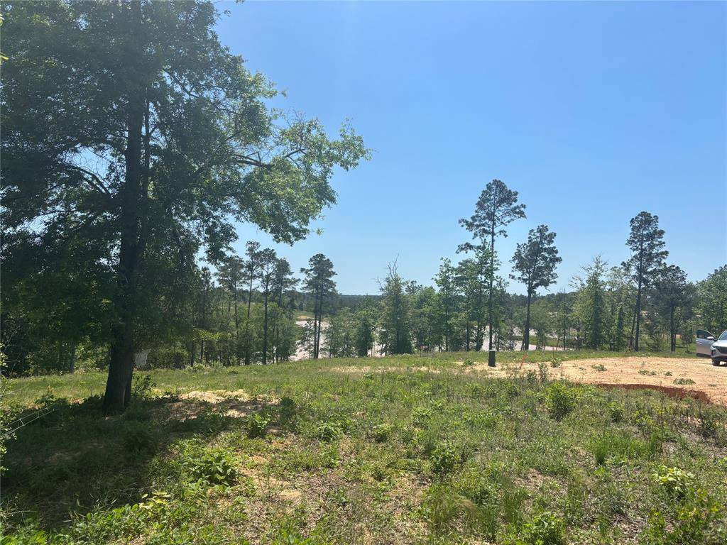 Livingston, TX 77351,142 Dove Hill CIR