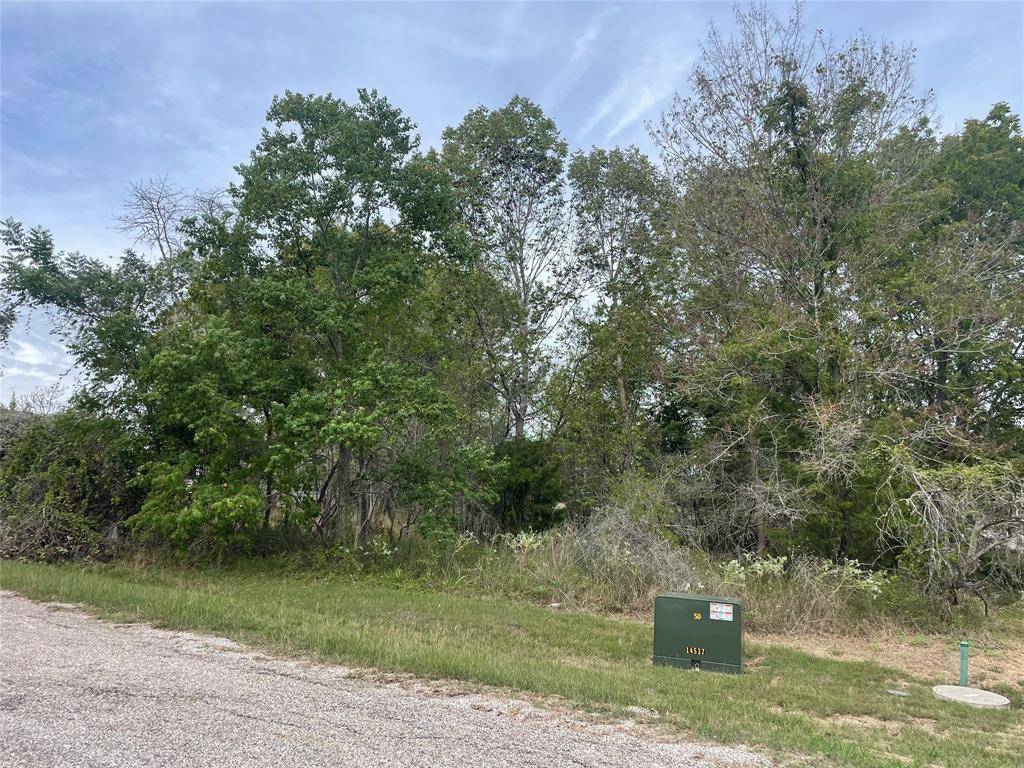 Coldspring, TX 77331,TBD N Forest Cove LOOP