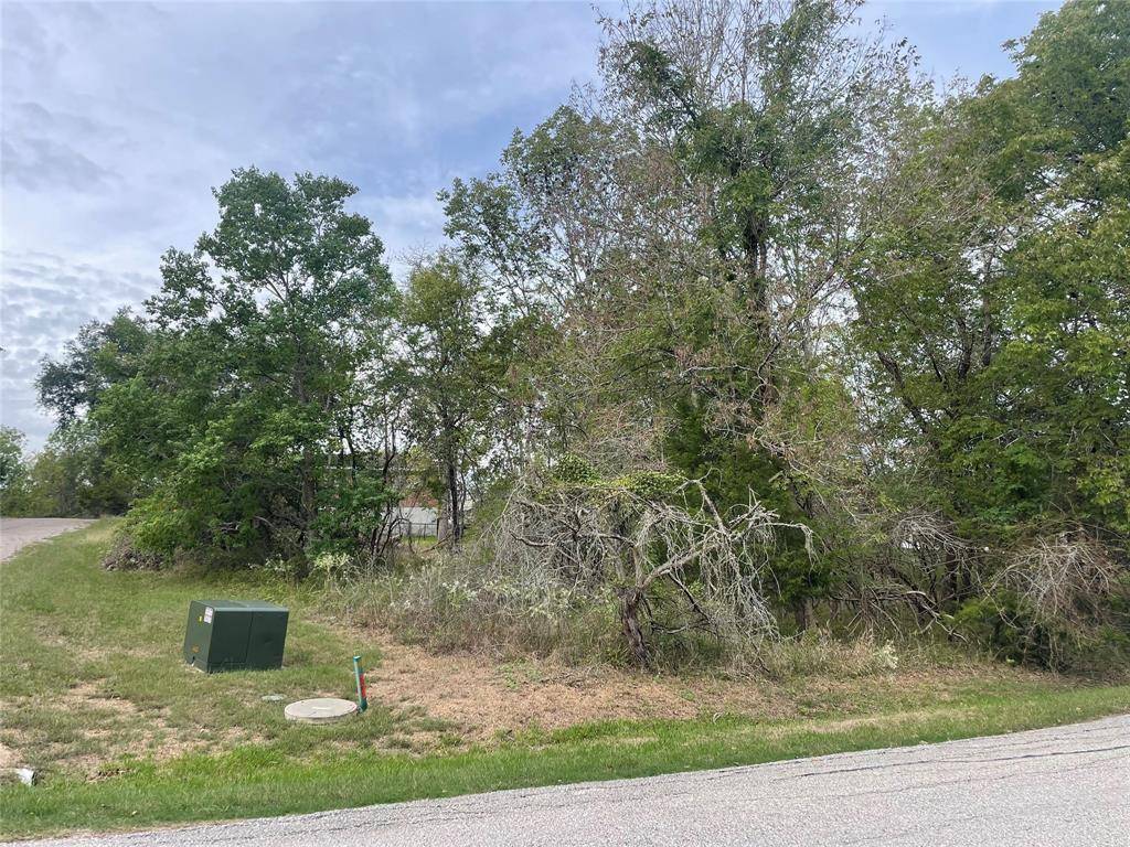 Coldspring, TX 77331,120 N Forest Cove LOOP