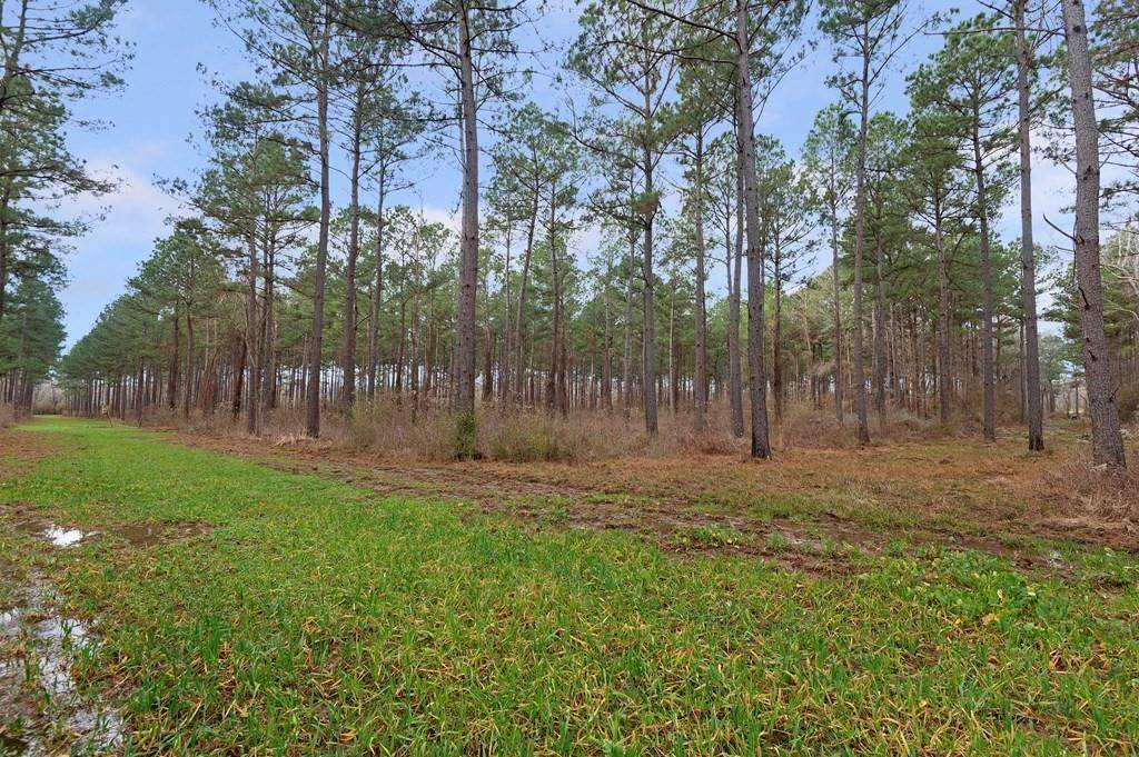 Nacogdoches, TX 75964,5397 Highway 21 W