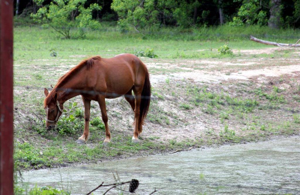 New Caney, TX 77357,25657 Gloucester