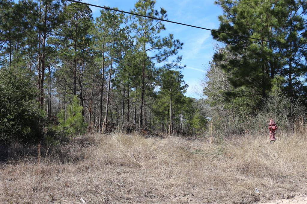 Onalaska, TX 77360,6-2 N HWY 356