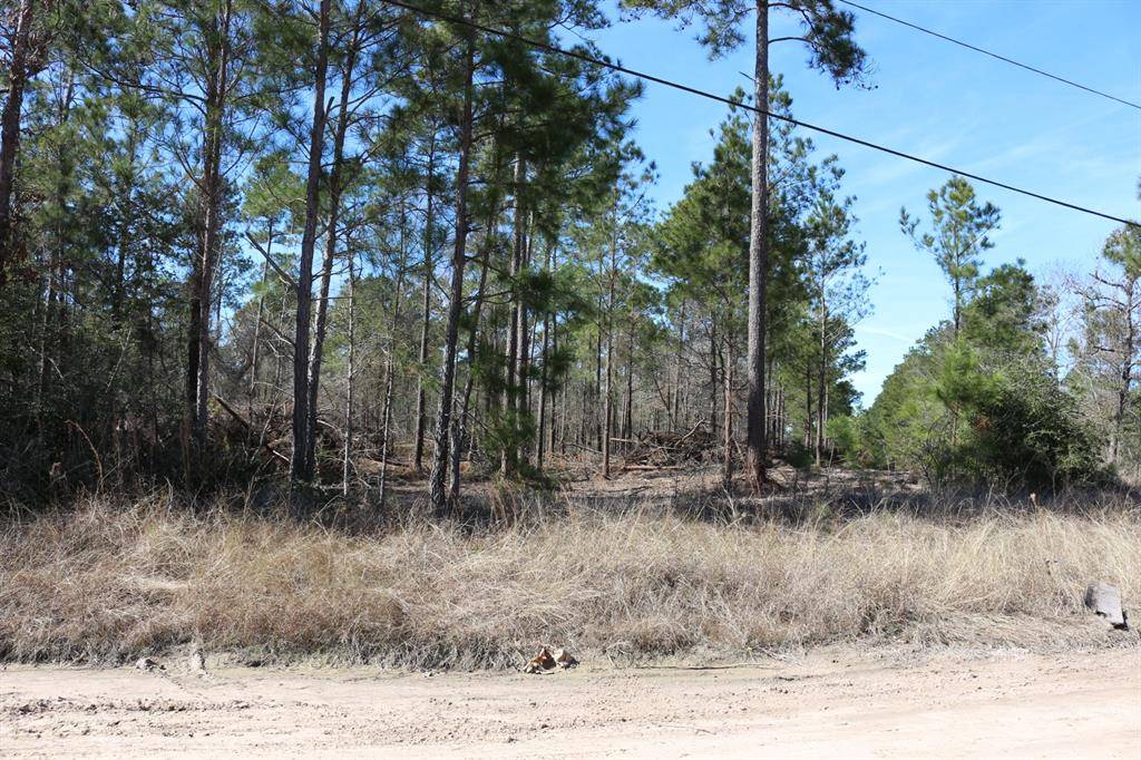 Onalaska, TX 77360,6-2 N HWY 356