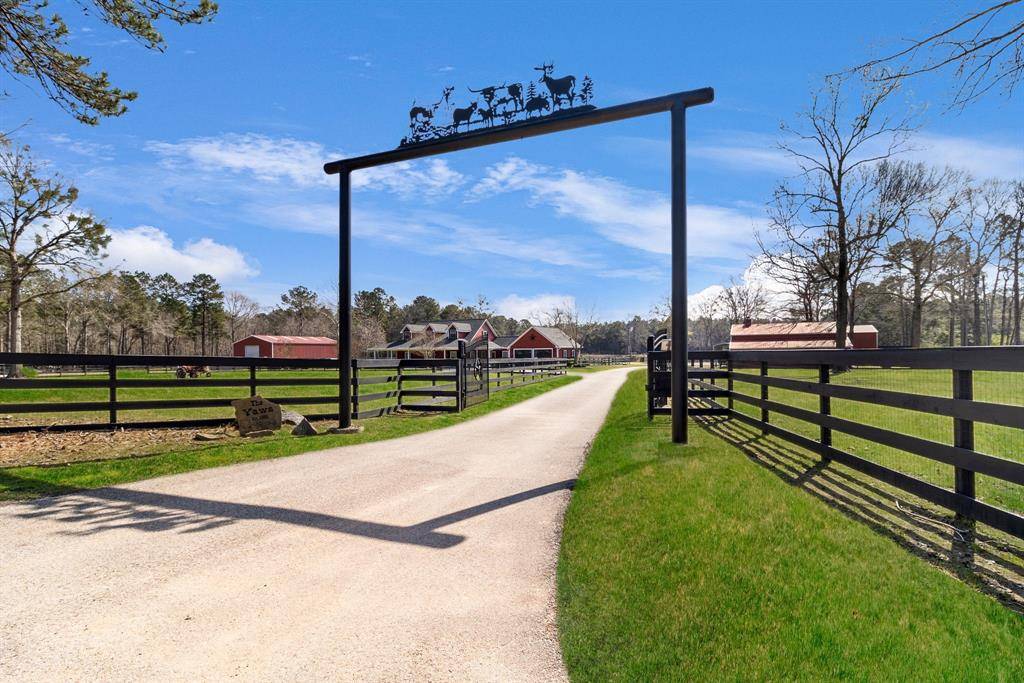 Livingston, TX 77351,592 Buffalo Subdivision