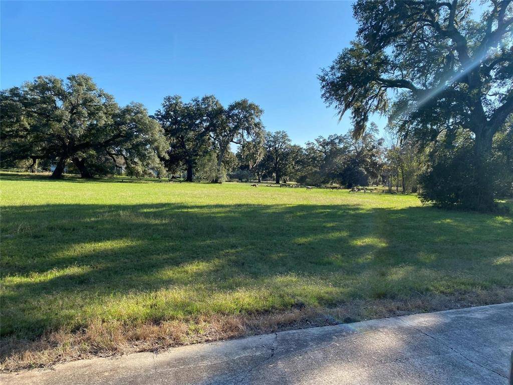 Angleton, TX 77515,506 Rocking Horse CT