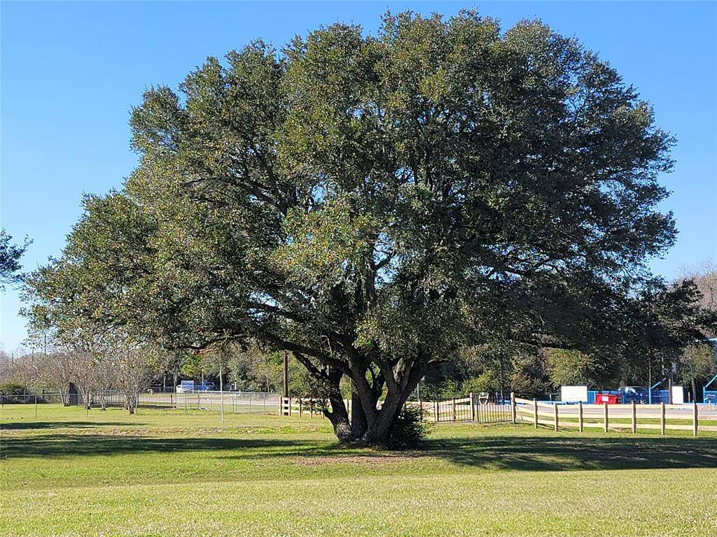 Waller, TX 77484,28302 Piney CORS