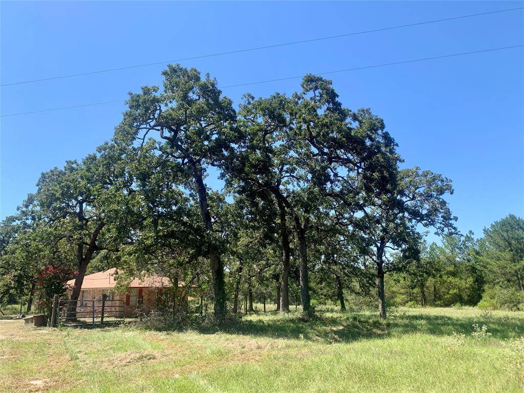 Bedias, TX 77831,000 County Road 137