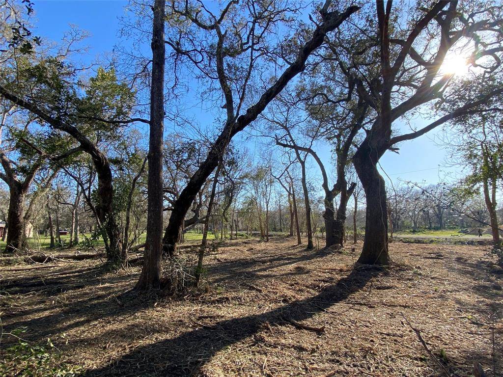 Brazoria, TX 77422,00 County Road 352