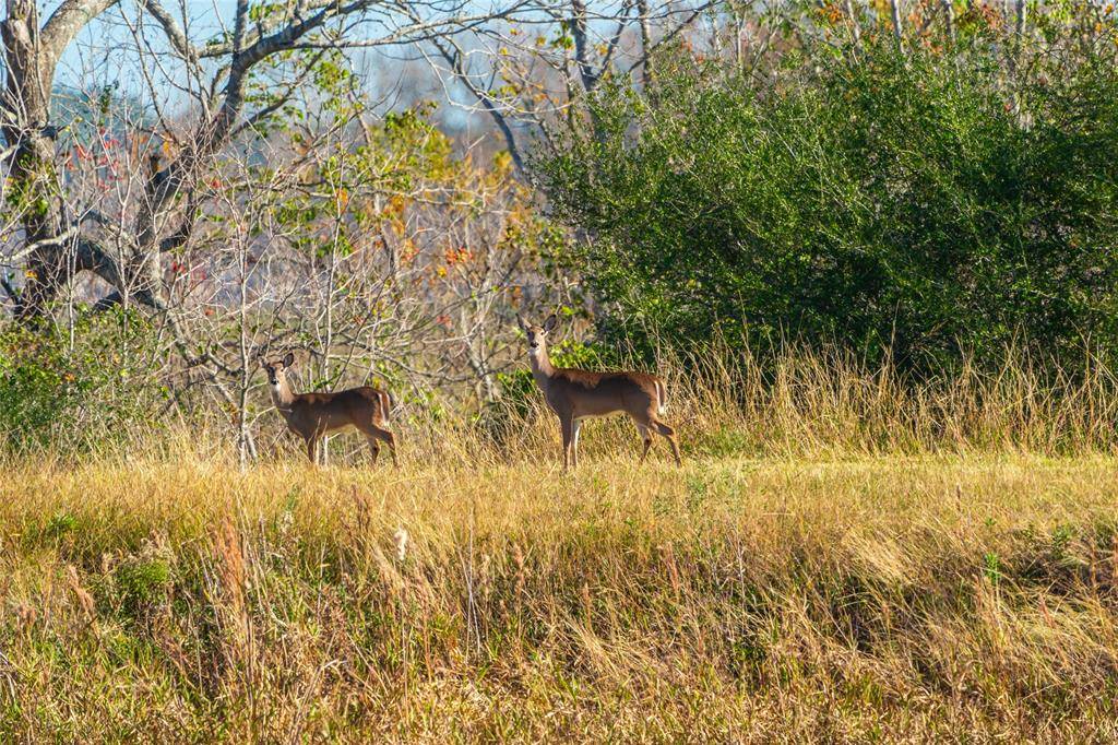 Hardin, TX 77564,0 County Road 2046