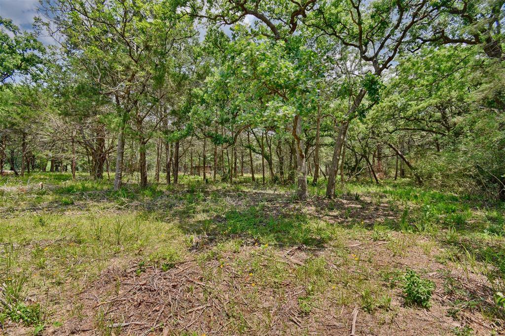 Bellville, TX 77418,0000 Graham RD