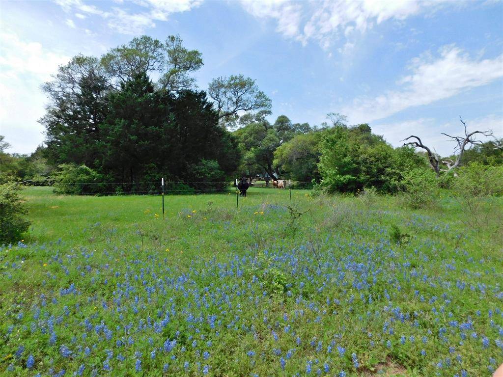 Cat Spring, TX 78933,000 Schmoeller-Sens RD