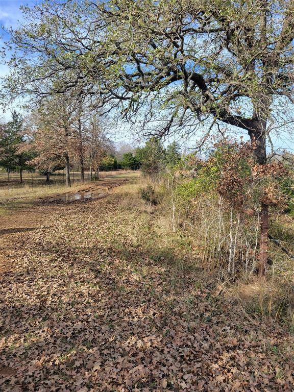 Grapeland, TX 75855,1 Navarro Lane