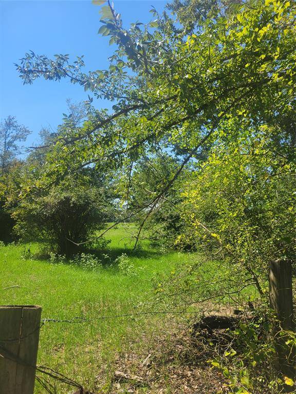 Grapeland, TX 75855,1 Navarro Lane