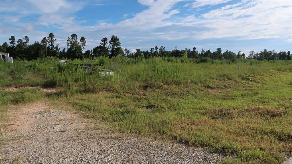 Cleveland, TX 77327,1148 Road 5894
