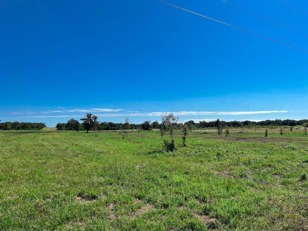 Anderson, TX 77830,Lot 1 County Road 219