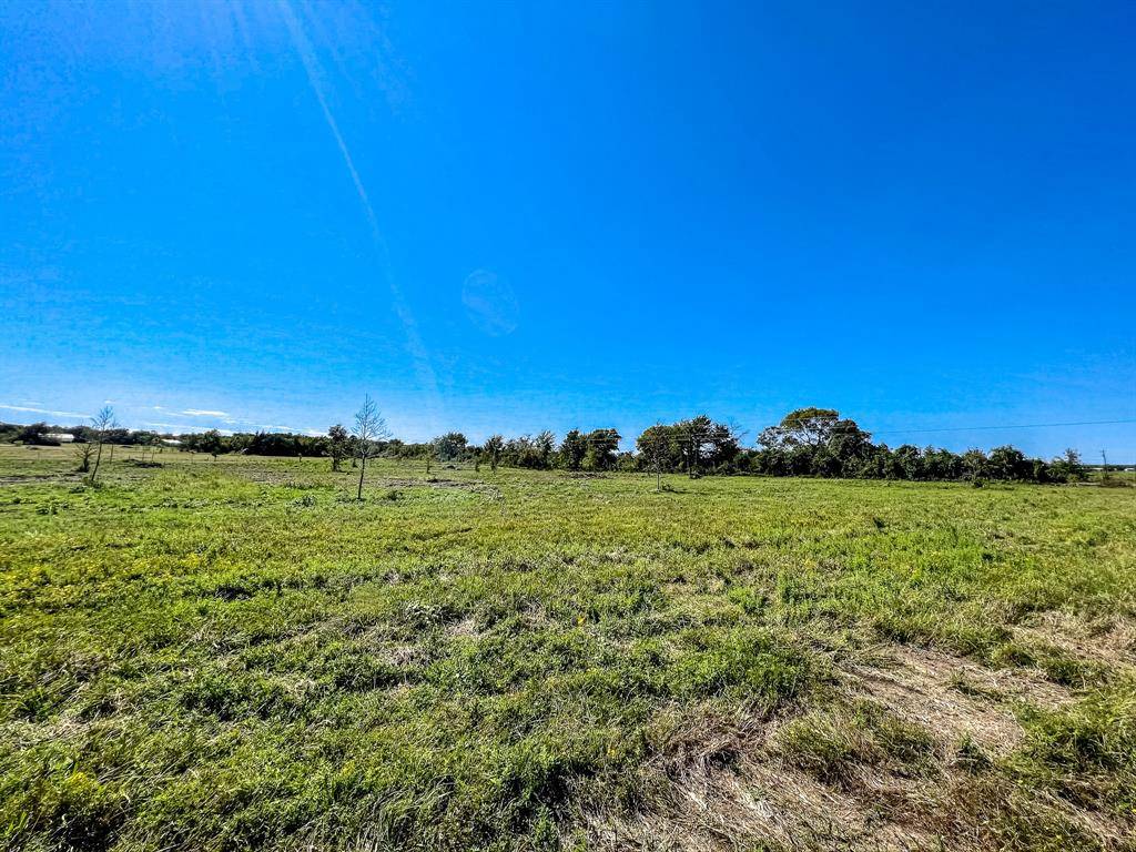 Anderson, TX 77830,Lot 1 County Road 219