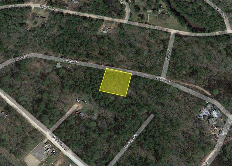 Plantersville, TX 77363,0 Largent DR