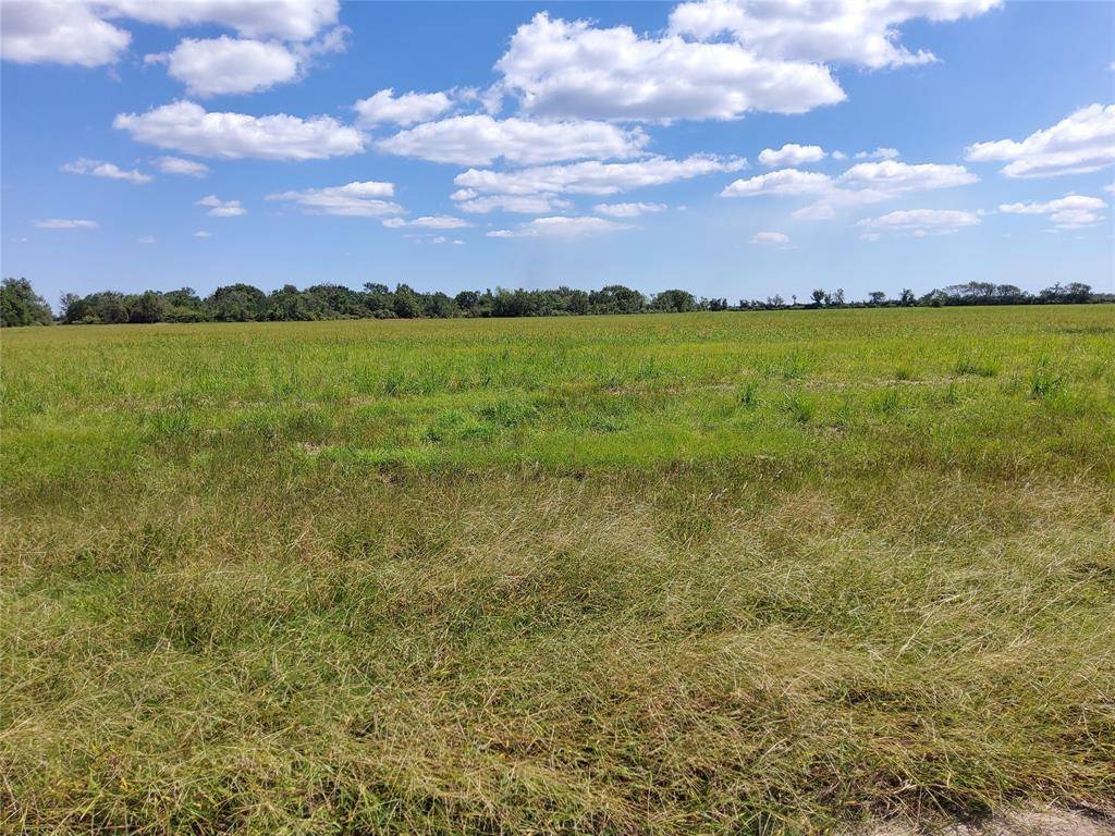 Angleton, TX 77515,0 Brahman Trail TRL