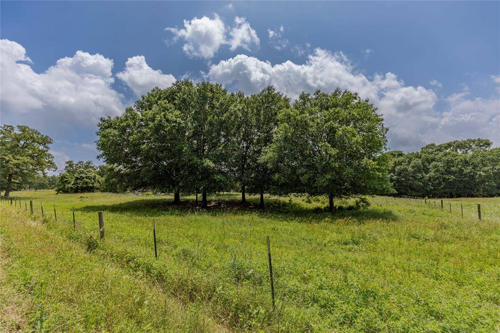 New Ulm, TX 78950,LOT 2 Mill Creek Ranch Road