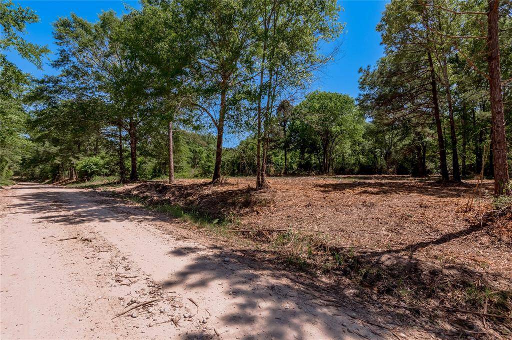 Pennington, TX 75856,6077 Tract 2 CR 4200