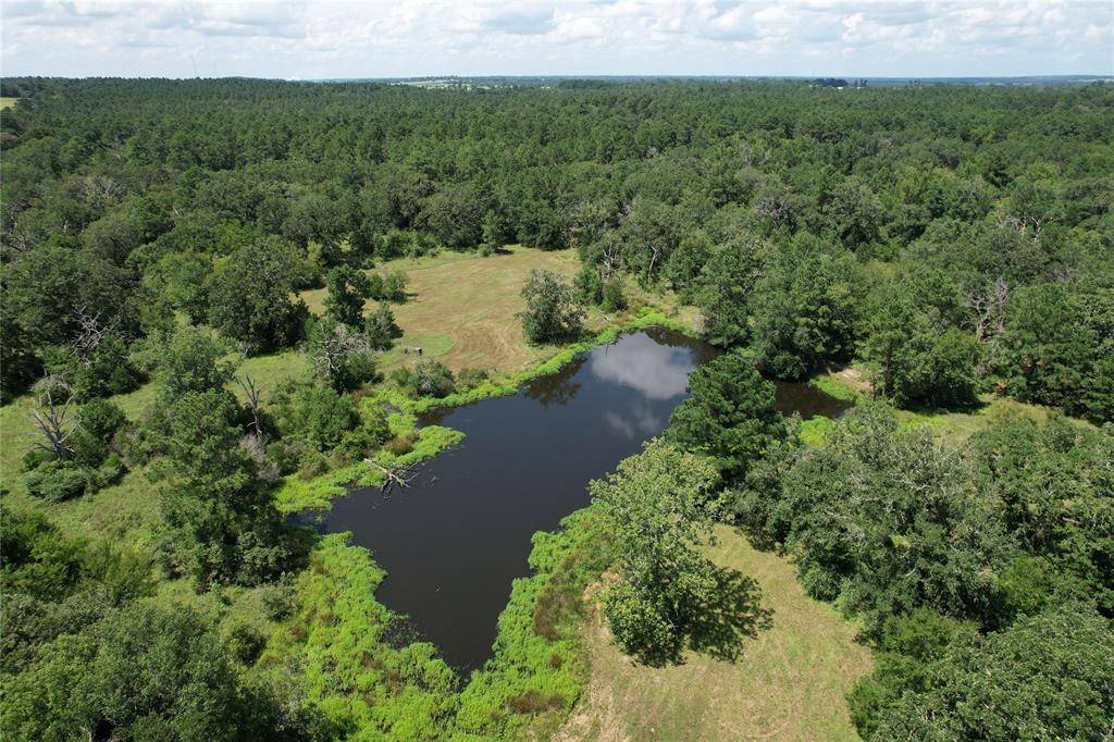 Crockett, TX 75835,1080 CR 4020