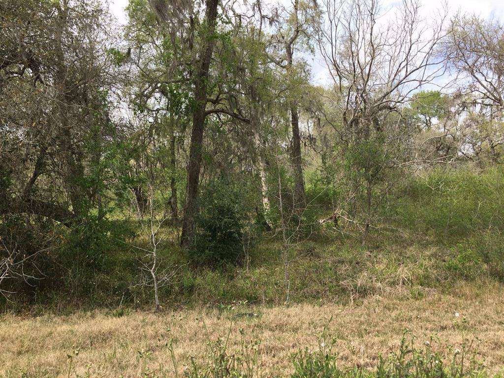 Sweeny, TX 77480,Lot 4 County Road 684A ID 239195