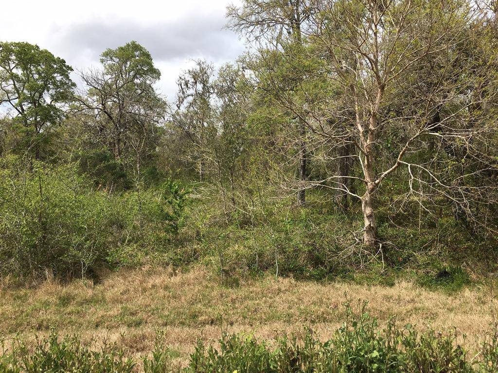 Sweeny, TX 77480,Lot 4 County Road 684A ID 239195