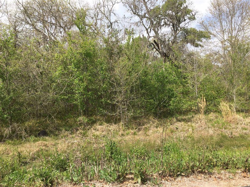 Sweeny, TX 77480,Lot 4 County Road 684A ID 239195