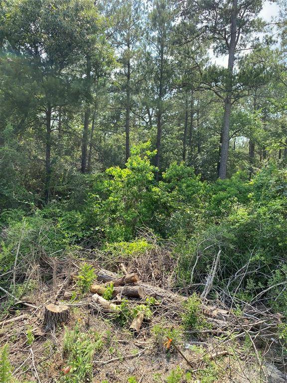 Plantersville, TX 77363,LOT 39 Scarlet Oak DR