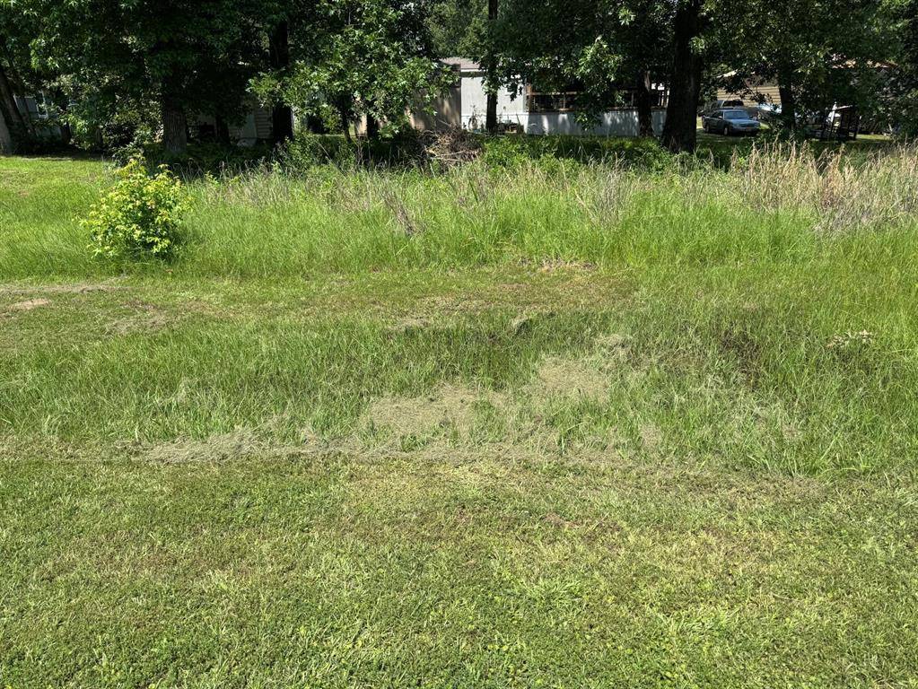 Point Blank, TX 77364,00 Willow Oak LN
