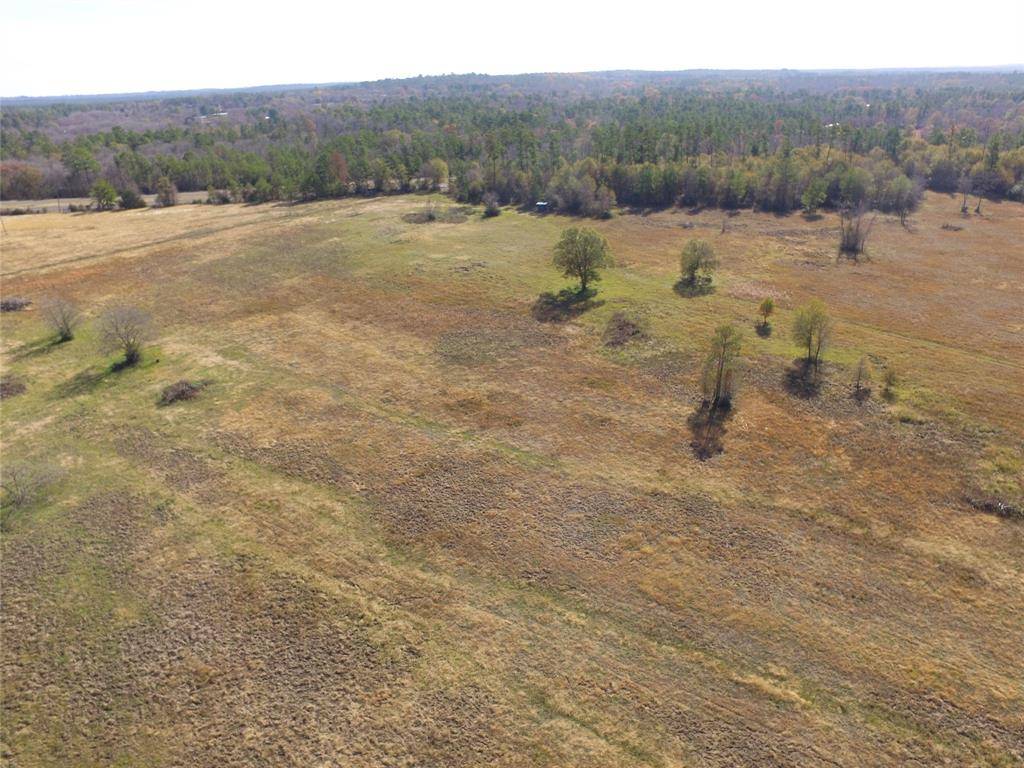 Huntsville, TX 77320,13.14 Acres Tract 4 TBD Percy Howard RD