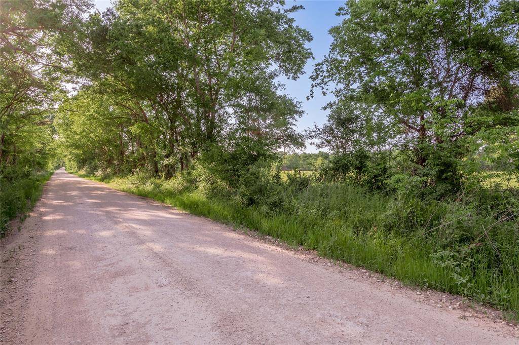 Pennington, TX 75856,1121 County Road 4550