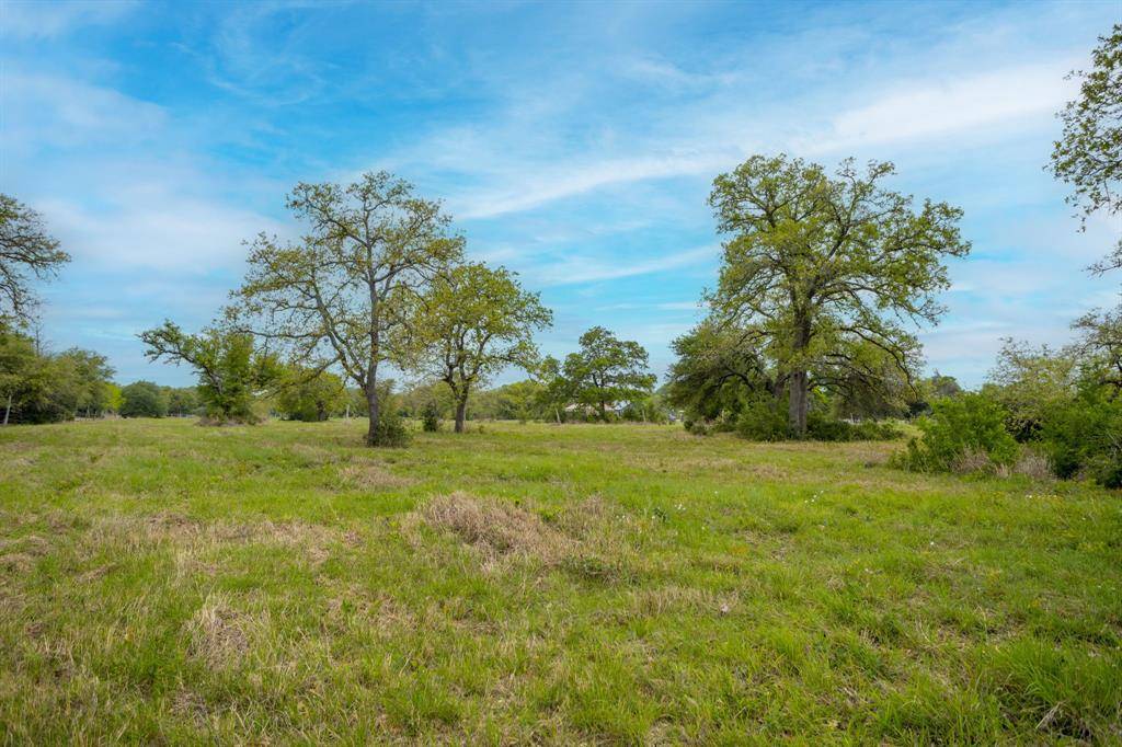 Nechanitz, TX 78946,TBD Ranch RD