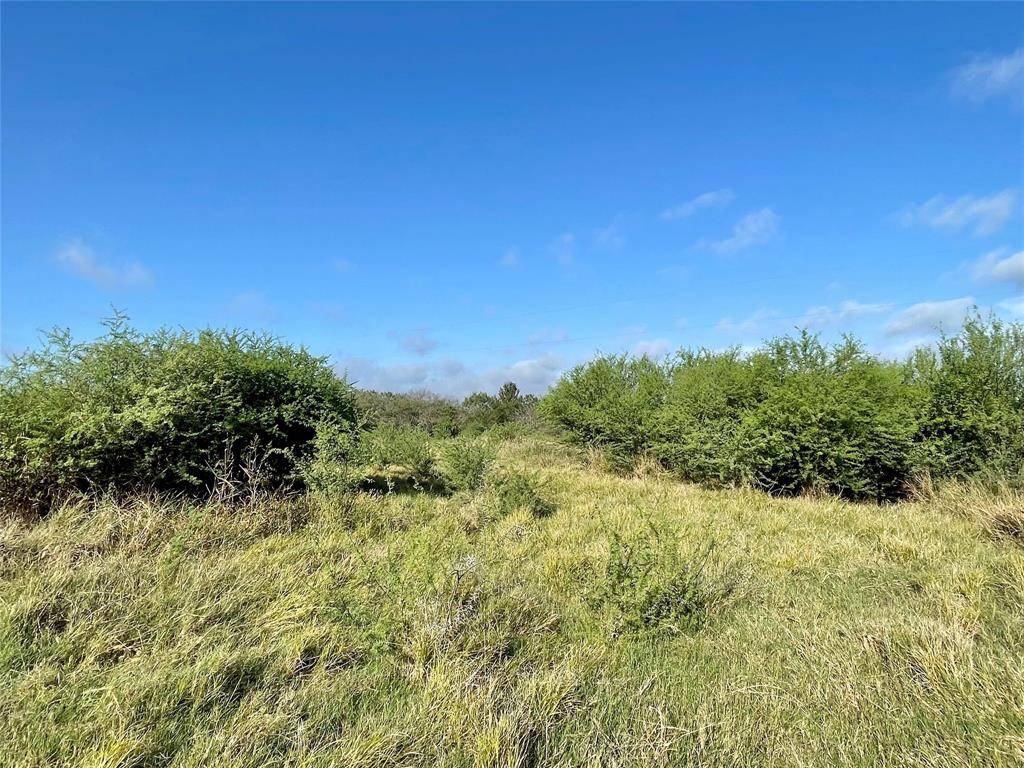 Gonzales, TX 78629,Lot 15 Cannon North DR