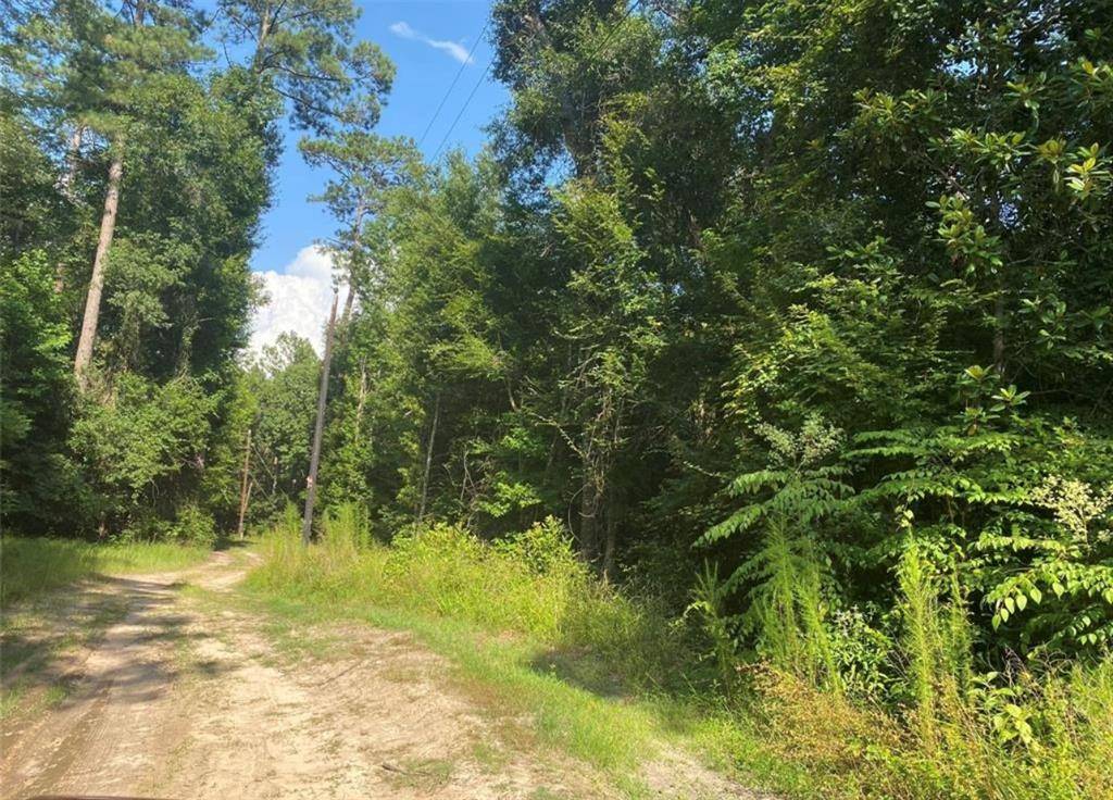 Cleveland, TX 77327,174 Road 2699 RD
