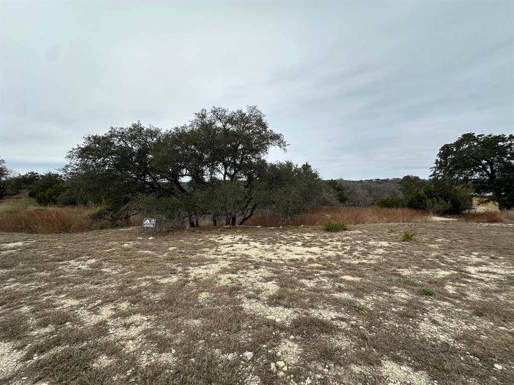 Canyon Lake, TX 78133,2162 Sierra Madre