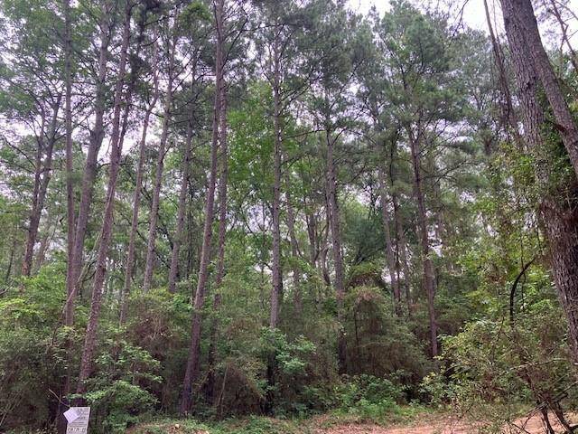 Plantersville, TX 77363,0 NW DEEP WOODS RD