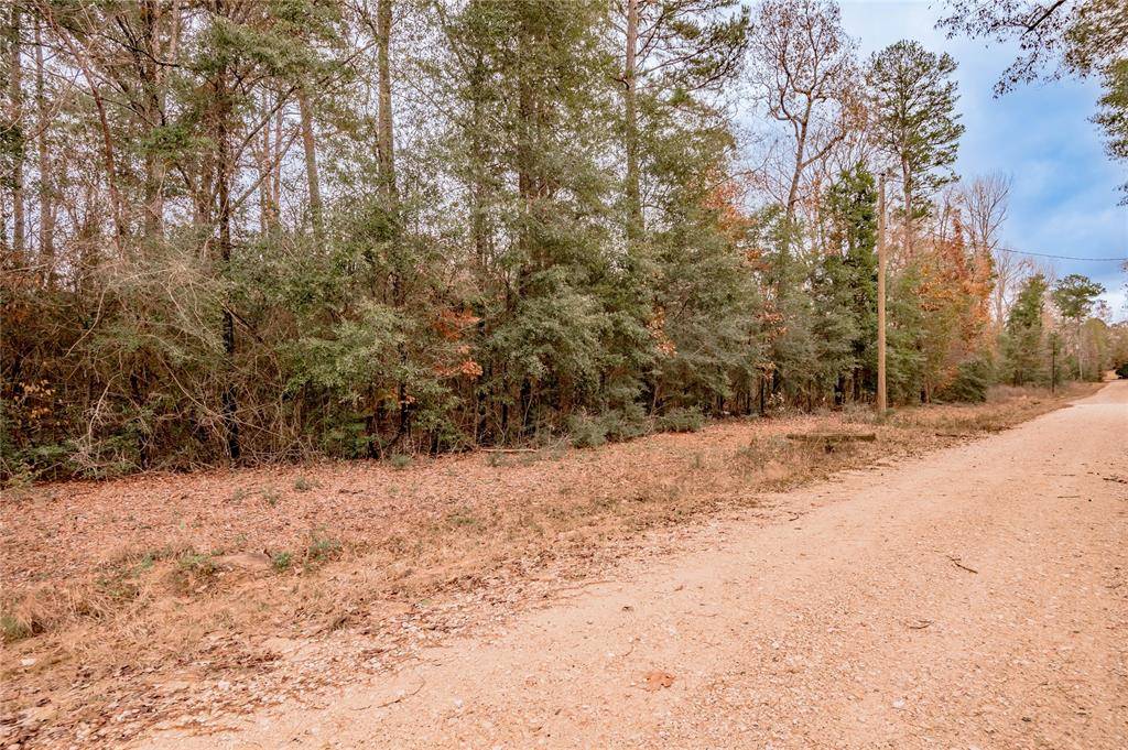 Woodville, TX 75979,Lot 183 Dogwood LN