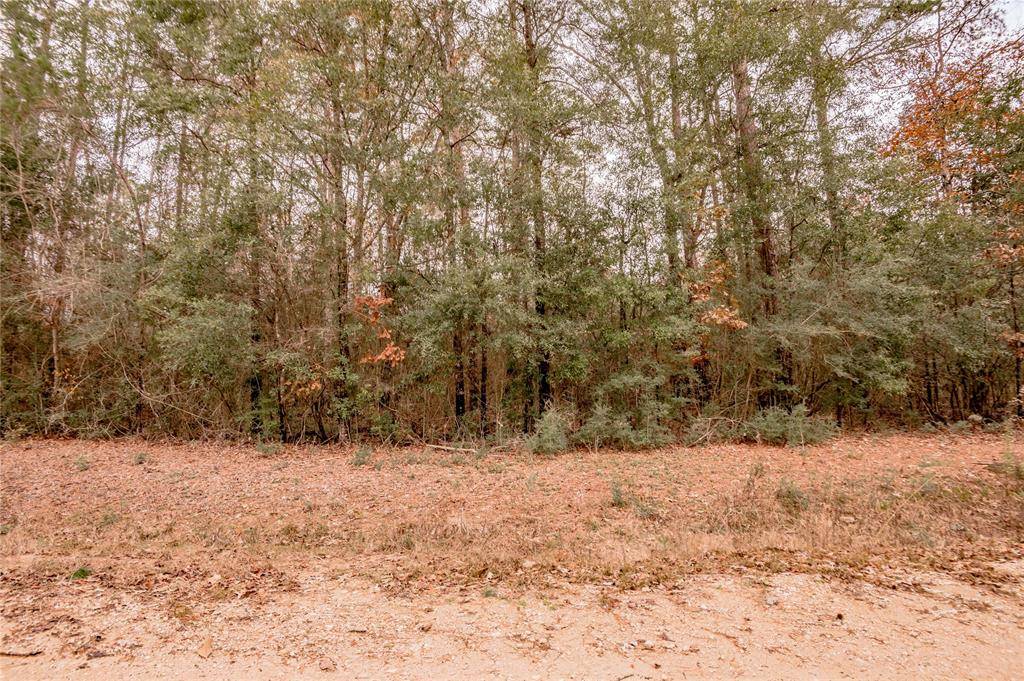 Woodville, TX 75979,Lot 183 Dogwood LN