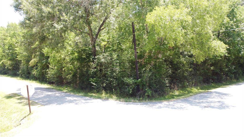 Devers, TX 77538,TBD Avenue C