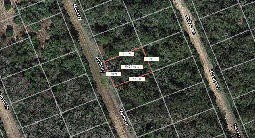 Normangee, TX 77871,Lot 21 Mulberry LN