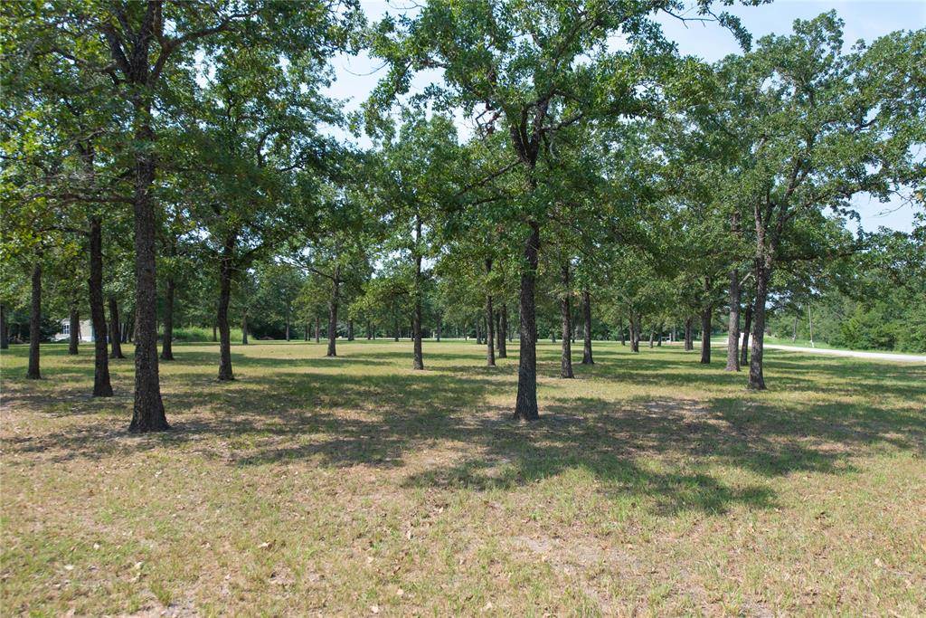 Caldwell, TX 77836,TBD 2 acres - Overlook Drive