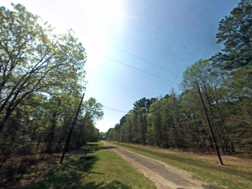 Livingston, TX 77351,264 Thornbranch