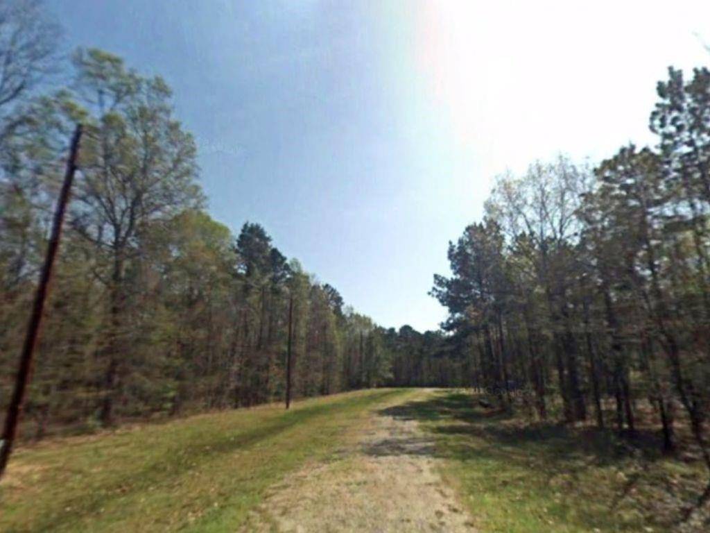 Livingston, TX 77351,264 Thornbranch