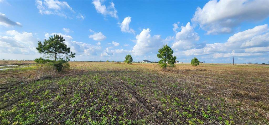 Beaumont, TX 77705,Lot 1 FM 365