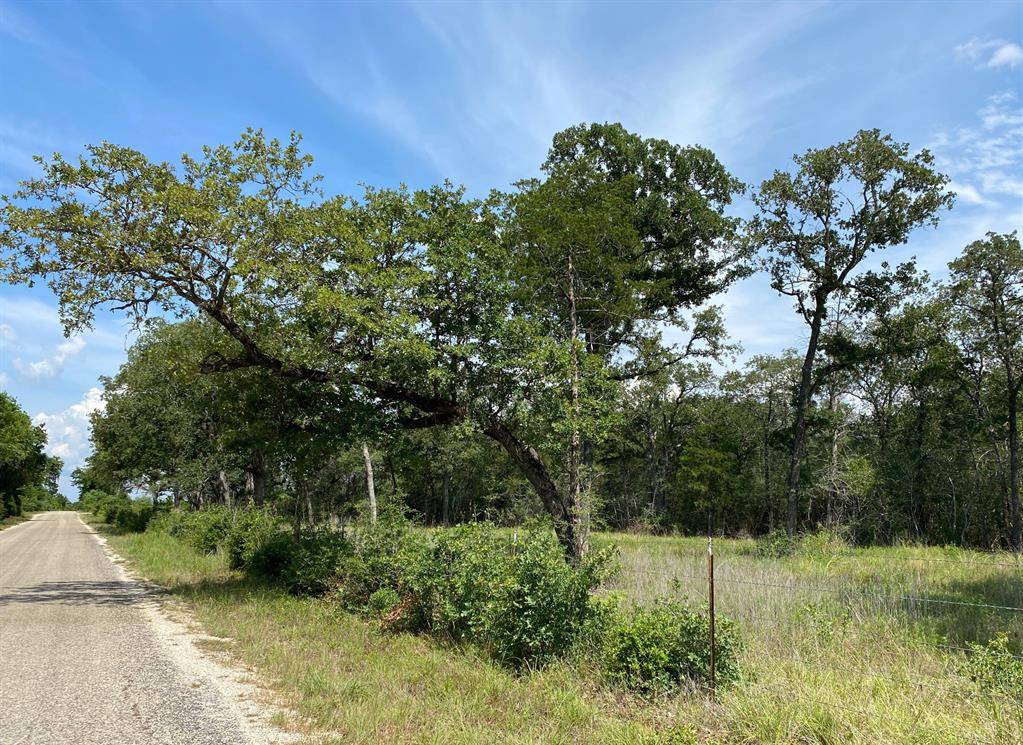 Smithville, TX 78957,TBD High Crossing Road Tract 8